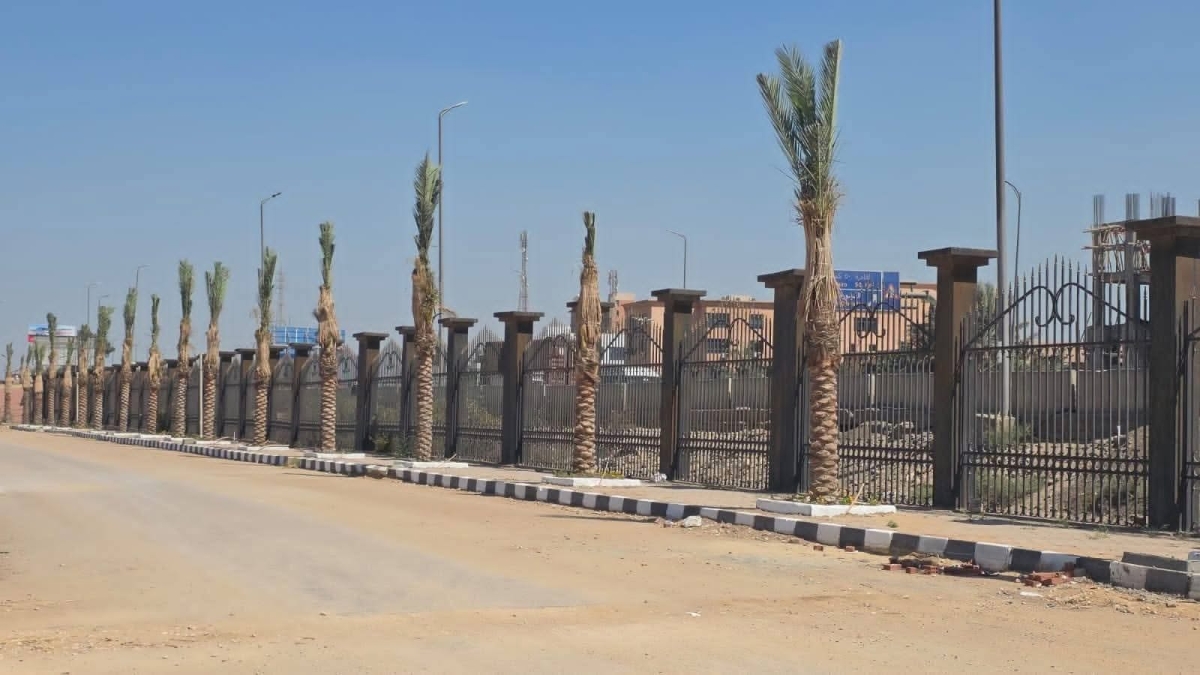&lrm;جامعة بنها | مبادرة ١٠٠ مليون شجرة تبدأ من الحرم الجامعي