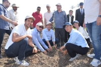 في إطار المبادرة الرئاسية &quot; 100 مليون شجرة&quot;: رئيس جامعة بنها يزرع 1000 شتلة زيتون بكلية الزراعة بمشتهر ويشهد حصاد السمك البلطي